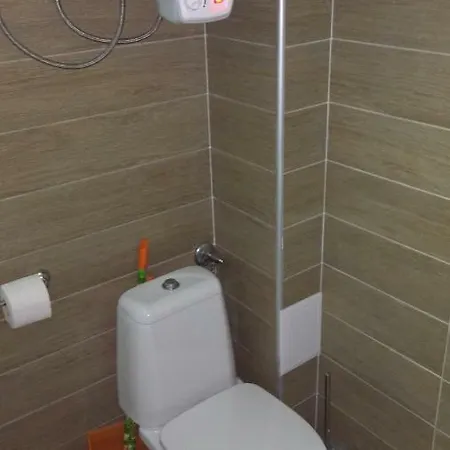 Hemingway In Happy Pensionat 3*