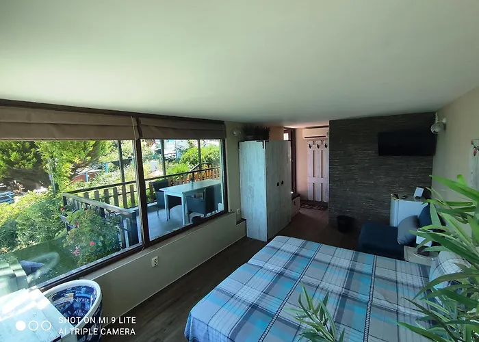 Hemingway In Happy 3*