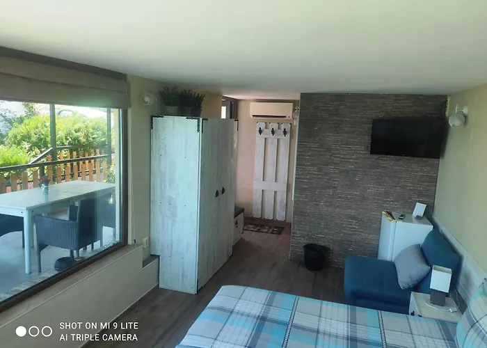 Hemingway In Happy Βάρνα