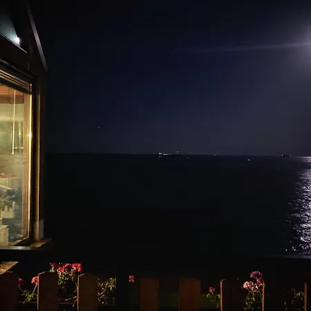 Hemingway In Happy Warna