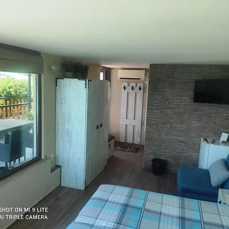 Hemingway In Happy Varna