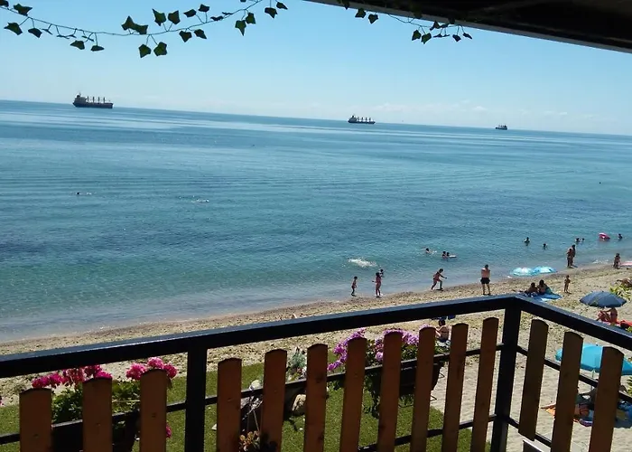 Hemingway In Happy 瓦爾納